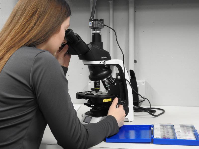 Girl looking into microscope