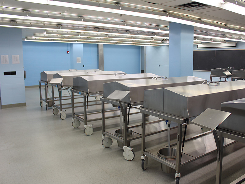 Cadaver lab