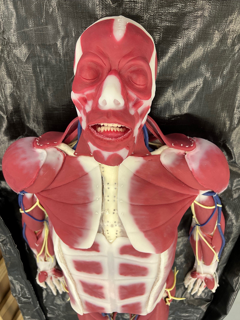 Syndaver