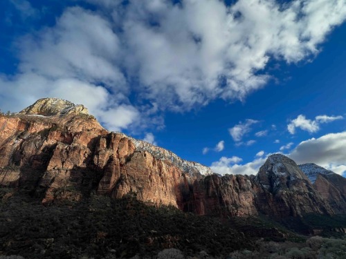 Zion National Park (Red Canyon Wall with Blue Sky)