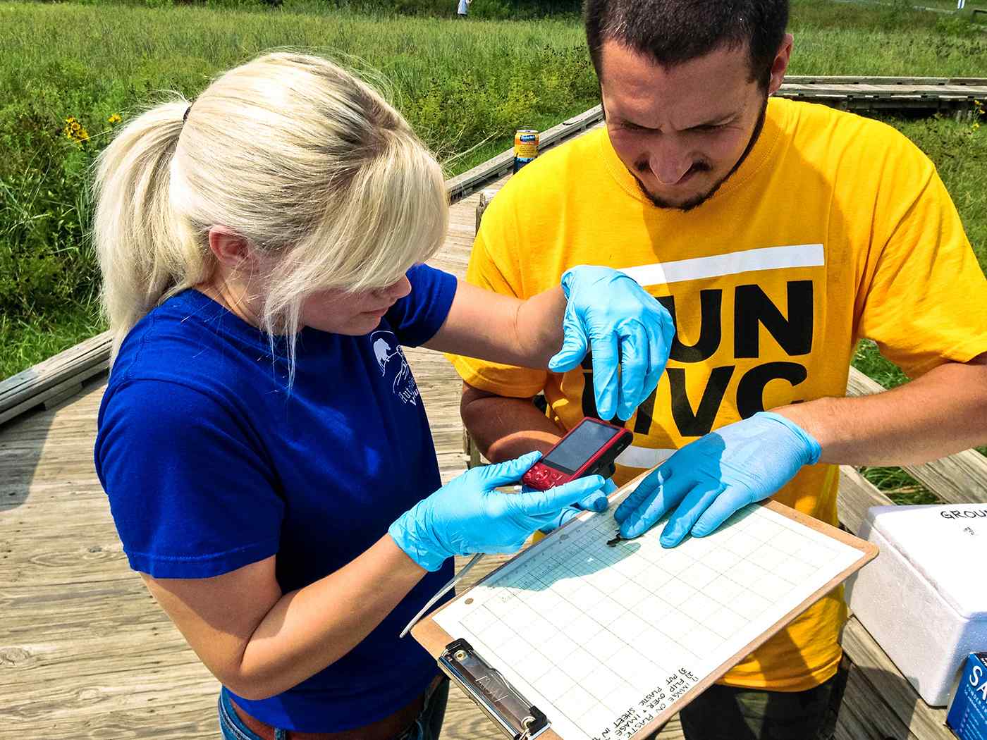 Two student measuring a frog.