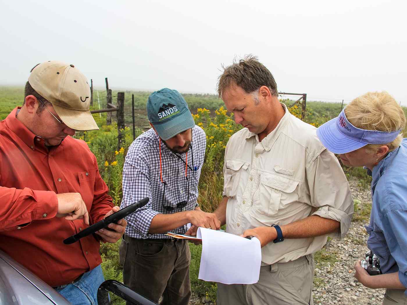 Students working in the field.