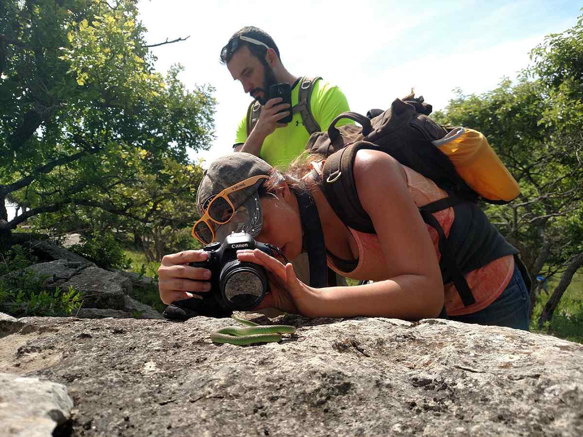 Biology major Hannah Hoetmer studies amphibians and reptiles, and is involved in a project that will establish whether or not high quality photos can be used with an animal version of facial-recognition technology.