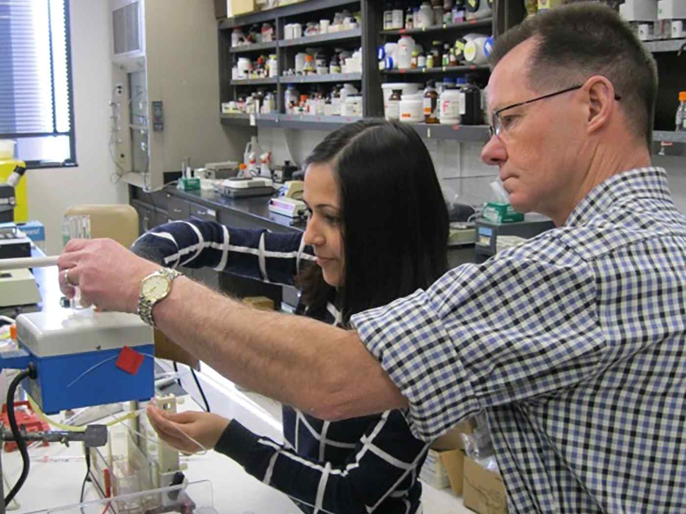 Student and faculty member working in a cell / molecular lab