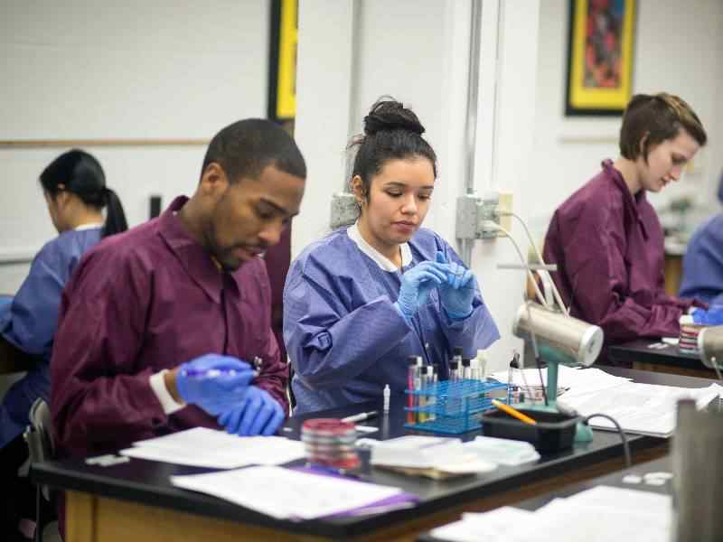 Student testing samples.