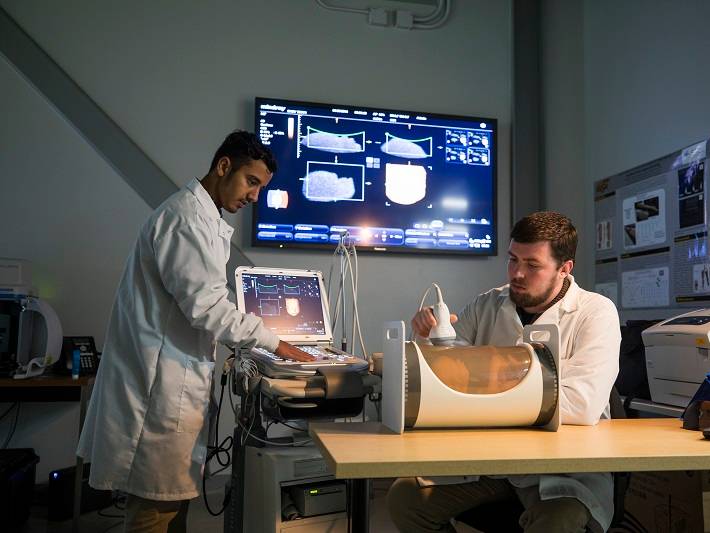 Students in a Biomedical Engineering Lab