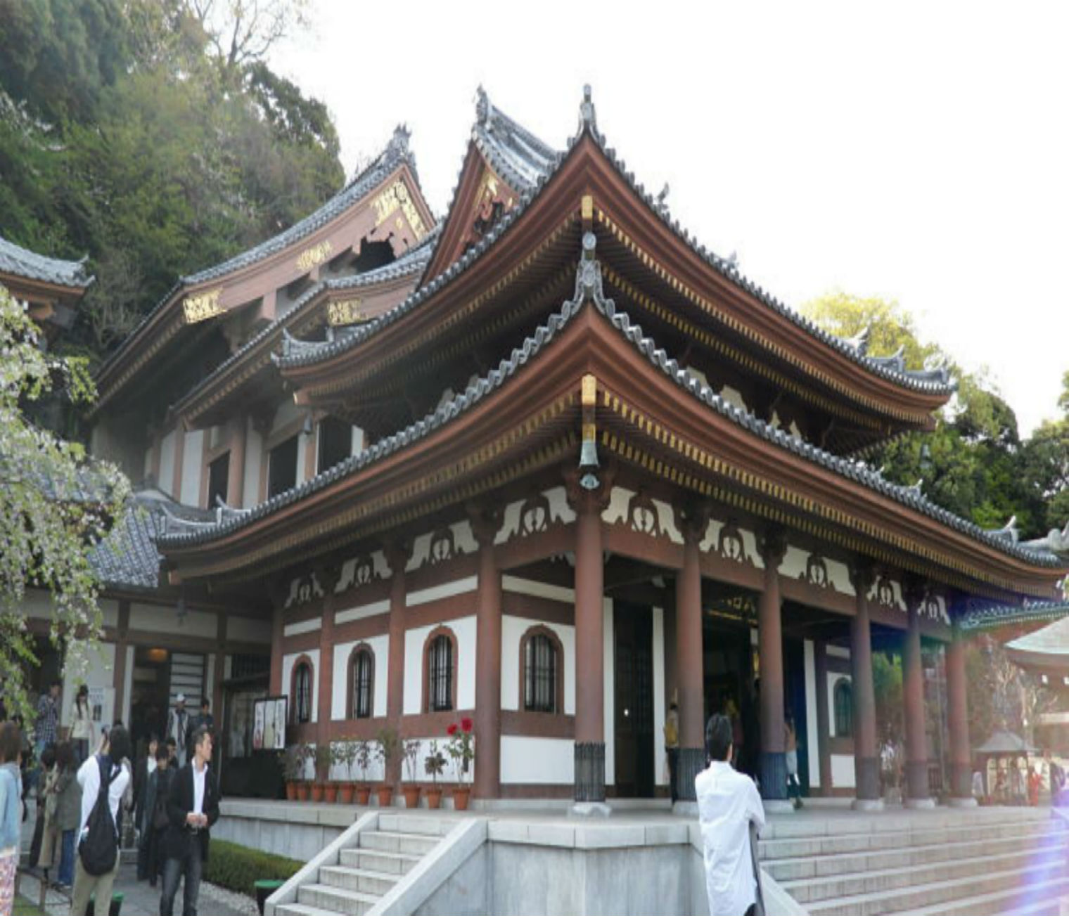 Japan AGU - Temple-u