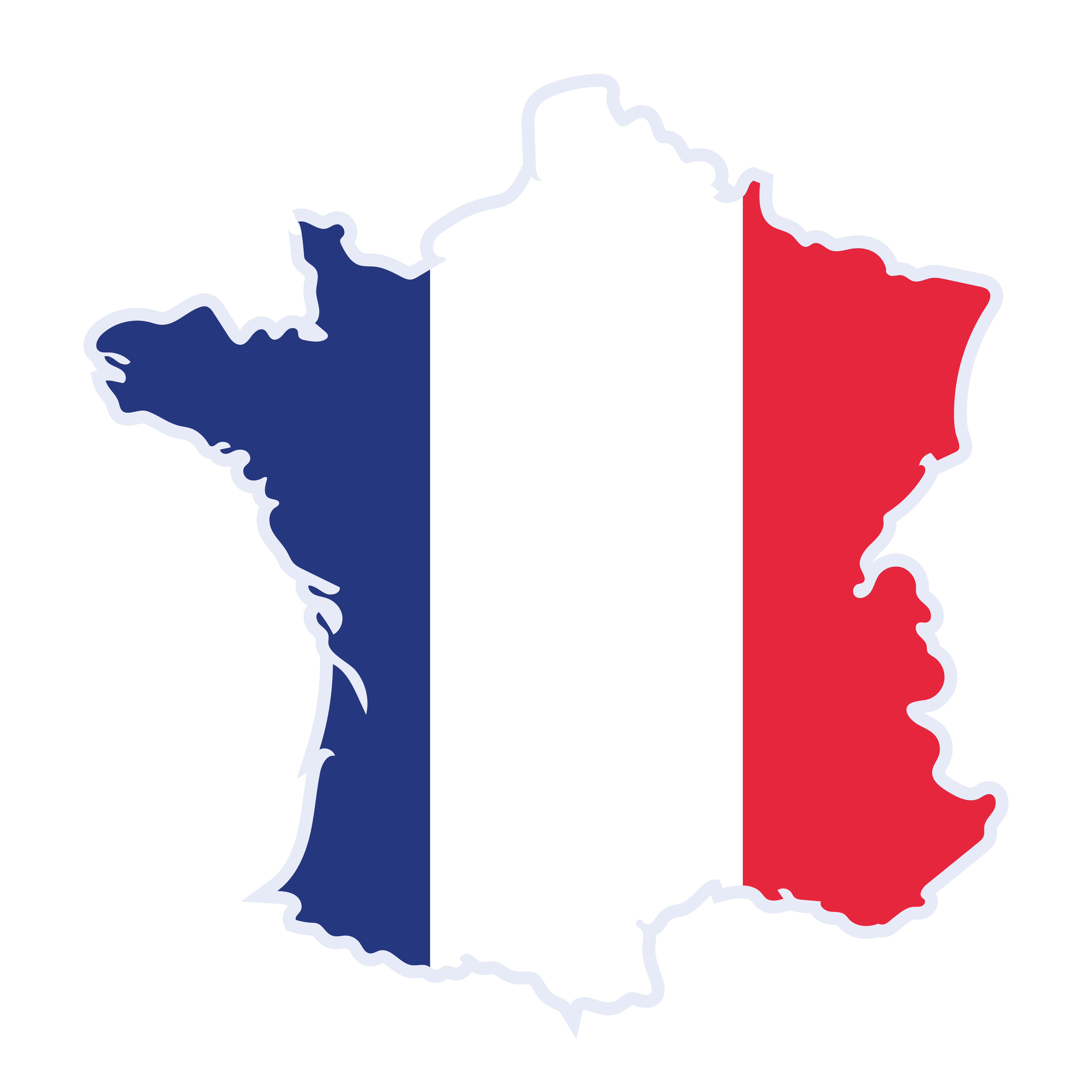 French flag country