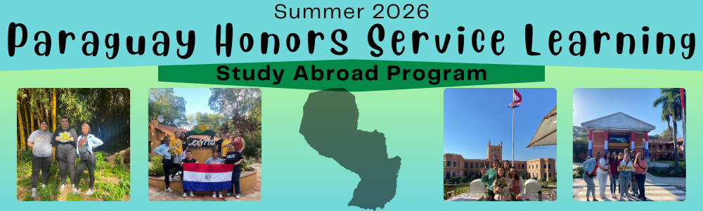 program banner