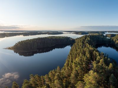 lakes and trees