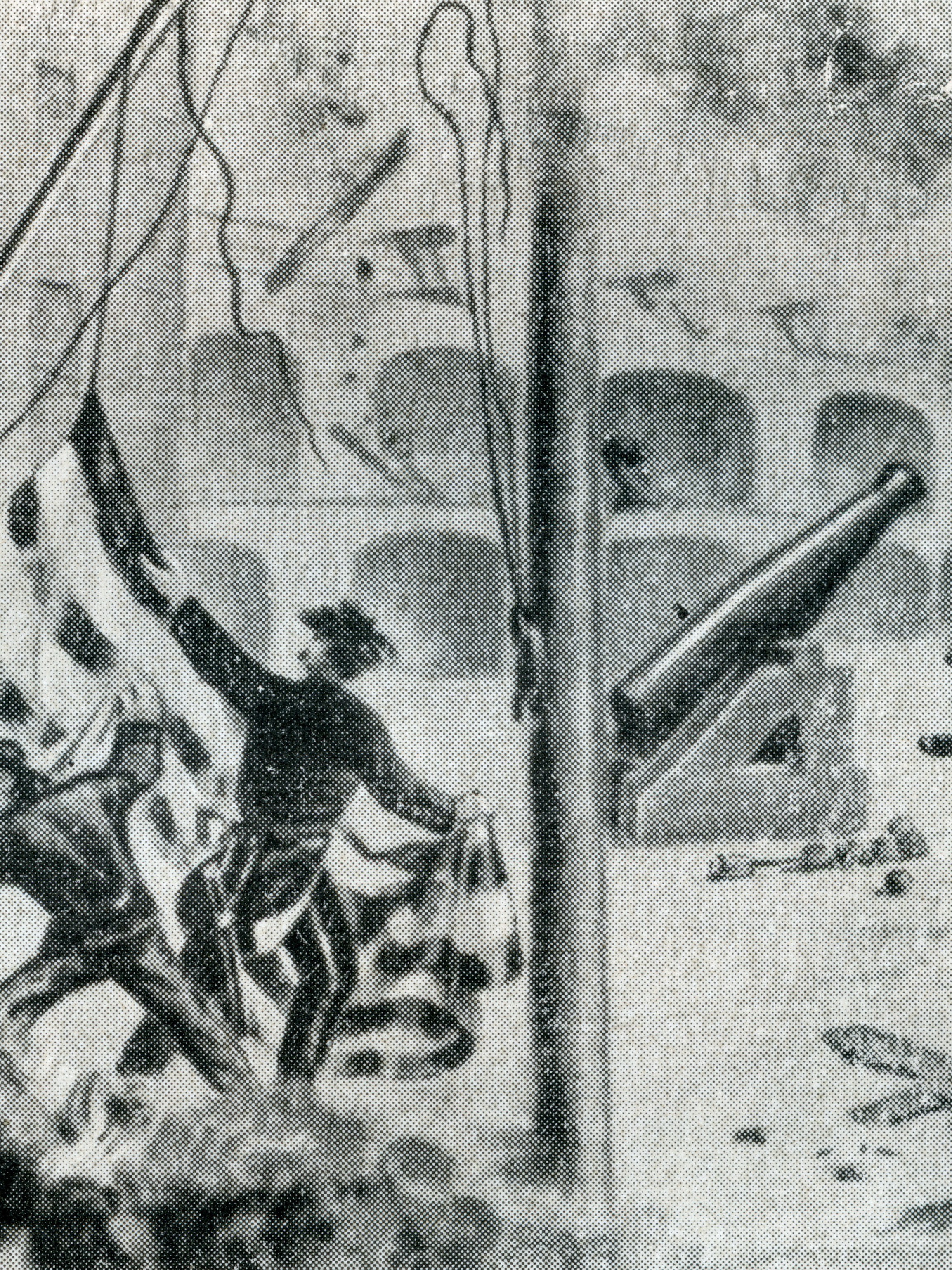 A monochrome image depicts a soldier holding a flag amidst a battlefield. Nearby, a cannon rests in front of a fort with arched openings