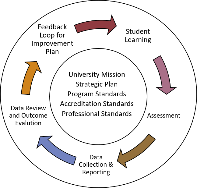 graphic of the univ assess system