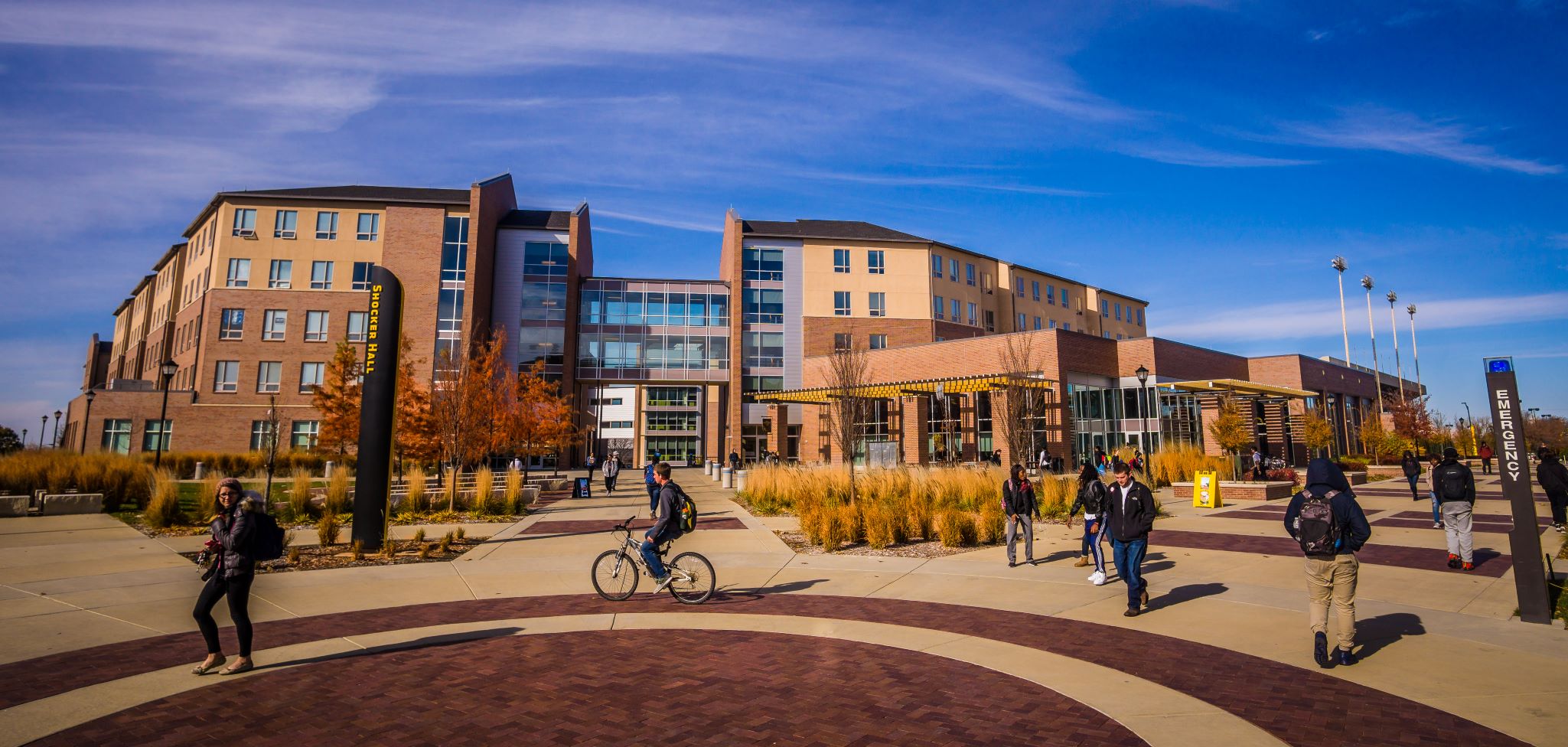 shocker hall view 