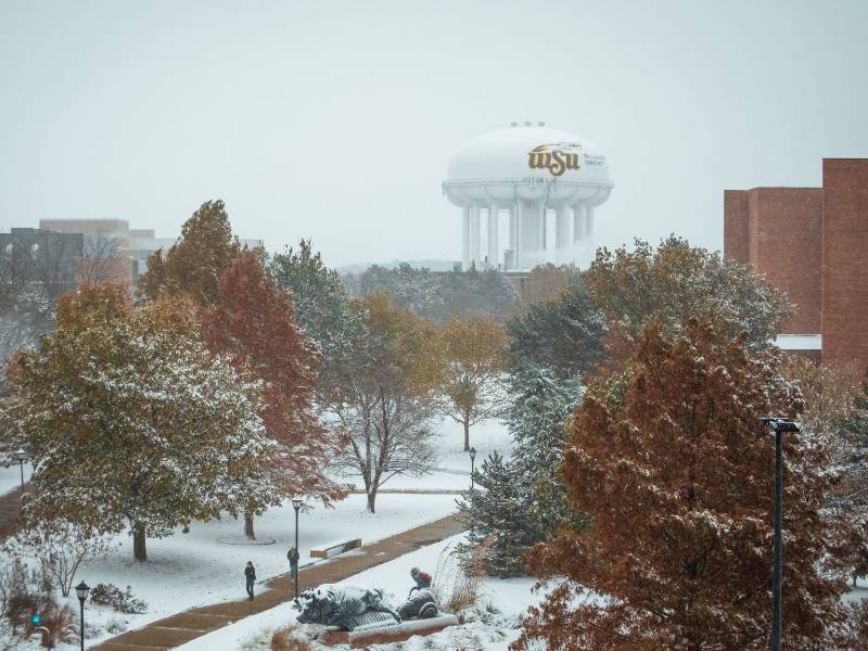 Winter Water Tower