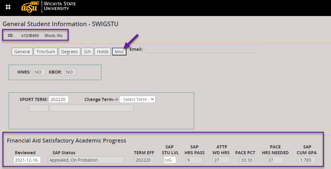 Screenclip of Banner SWIGSTU Screen for SAP Appeal