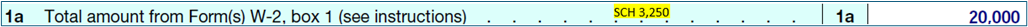 Example of "total amount from Form w-2, box 1 on taxes on line 1a.