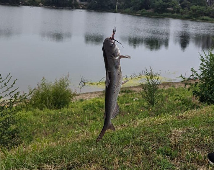 Aakriti's Fishing Blog