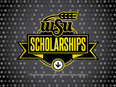 Portada decorativa del folleto de becas WSU