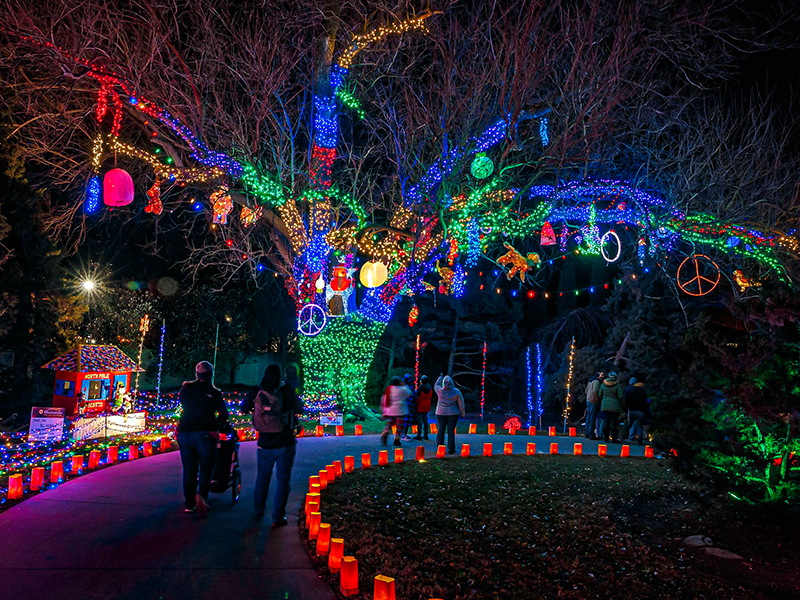 Illuminations at Botanica