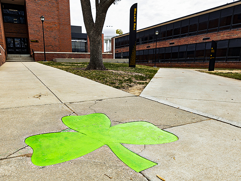 Shamrock outside of Wallace Hall.