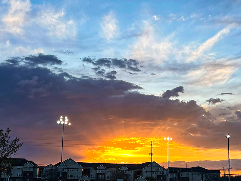 I took this photo while watching Intramural softball games. WSU has many opportunities for involvement on campus, and intramurals are just one of the many options that WSU offers!