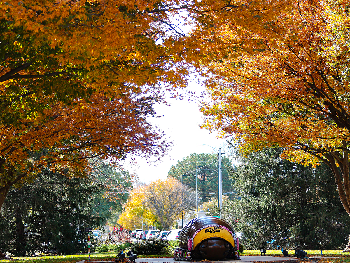 Sip & Stitch, a local group of fiber artists, "yarn bomb" Millie the Millipede before the cold weather sets in. Millie is a beloved sculpture on campus placed perfectly for those wanting great photos.