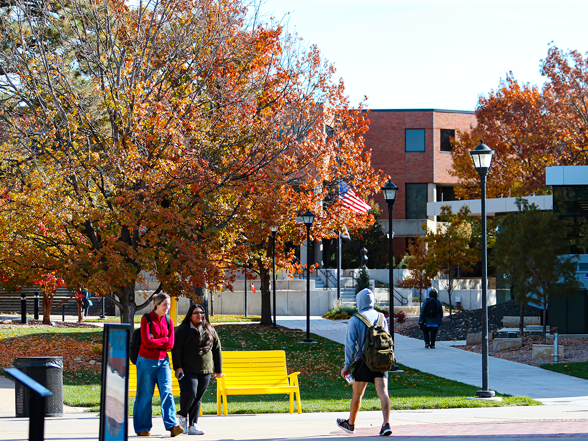 The center of campus outside of Ablah Library and the Shocke Success Center is one of the most picturesque scenes during anytime of year.