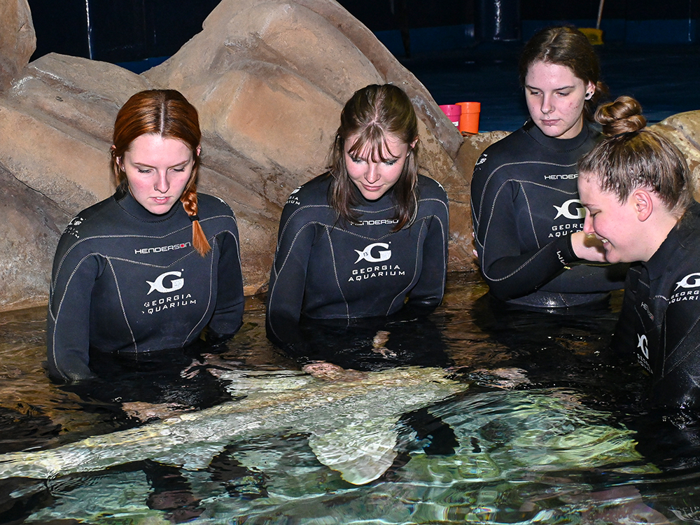 Lin Lindstrom, center, with a shark at the Georgia Aquarium.