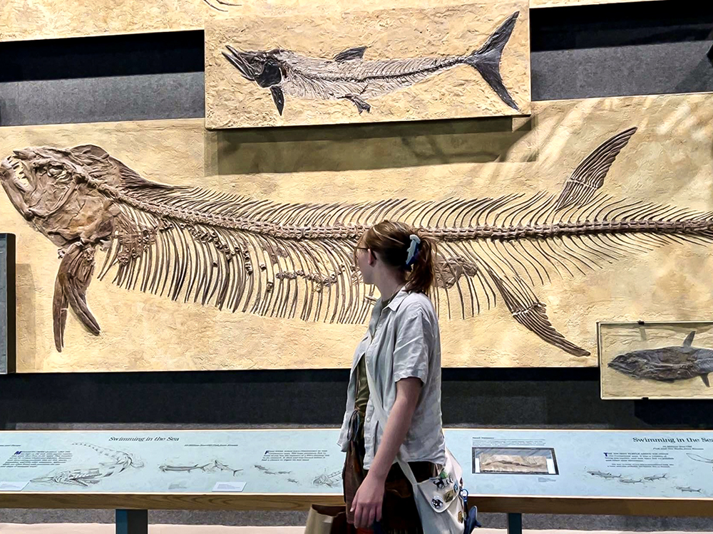 Lin Lindstrom at the Denver Museum of Nature and Science.