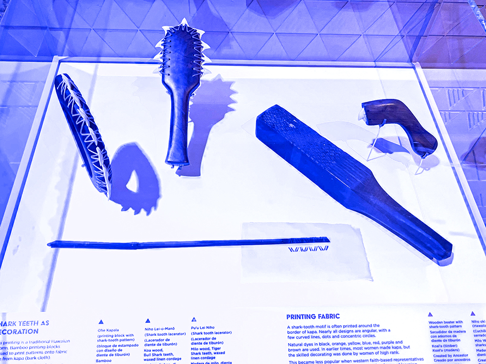 Tools made with shark teeth on exhibit.