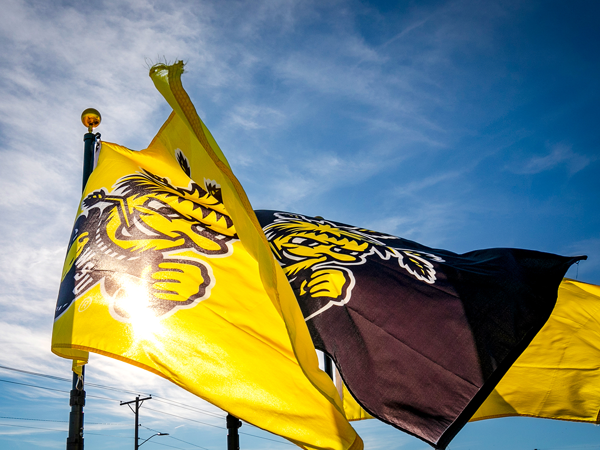 WuShock flags waving in the campus breeze.