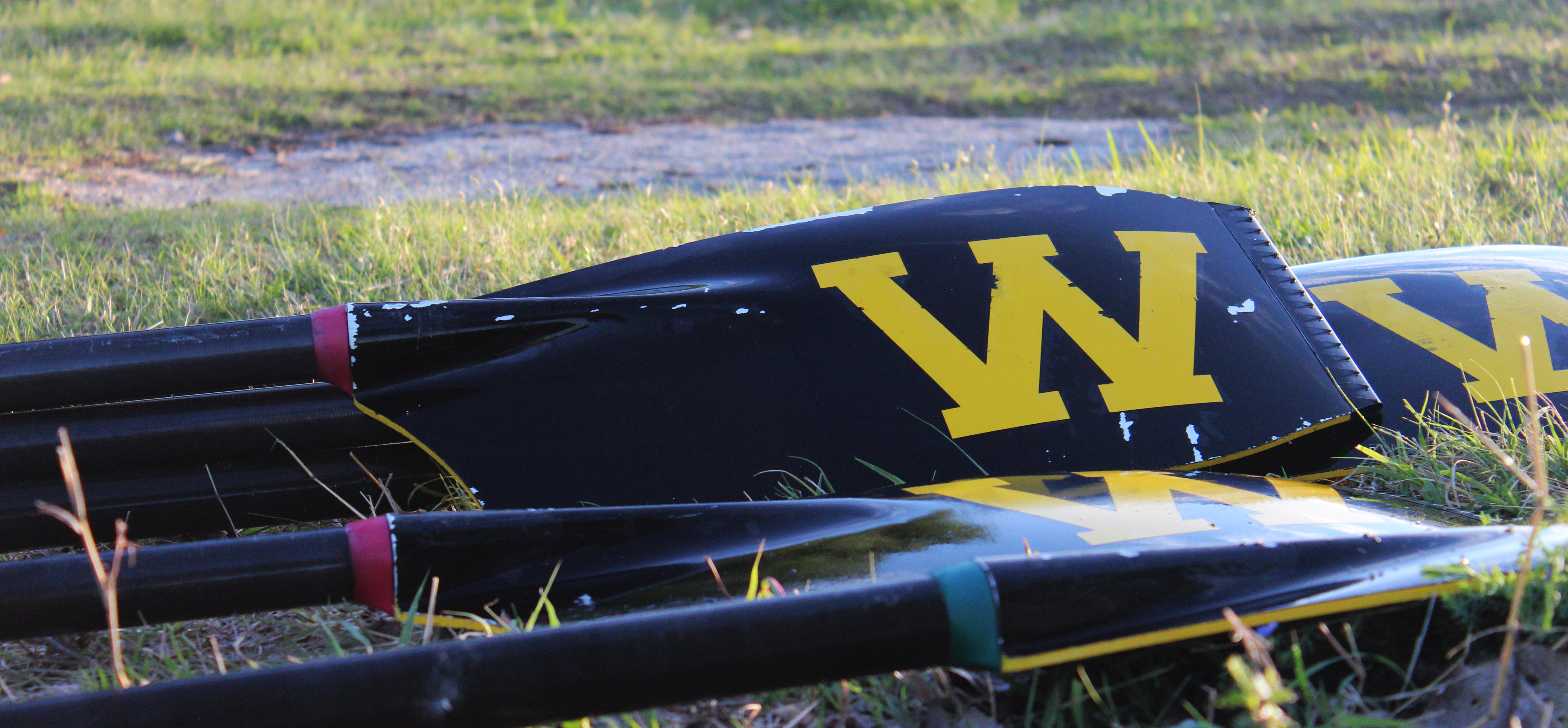 Wichita State rowing oars laying in the grass