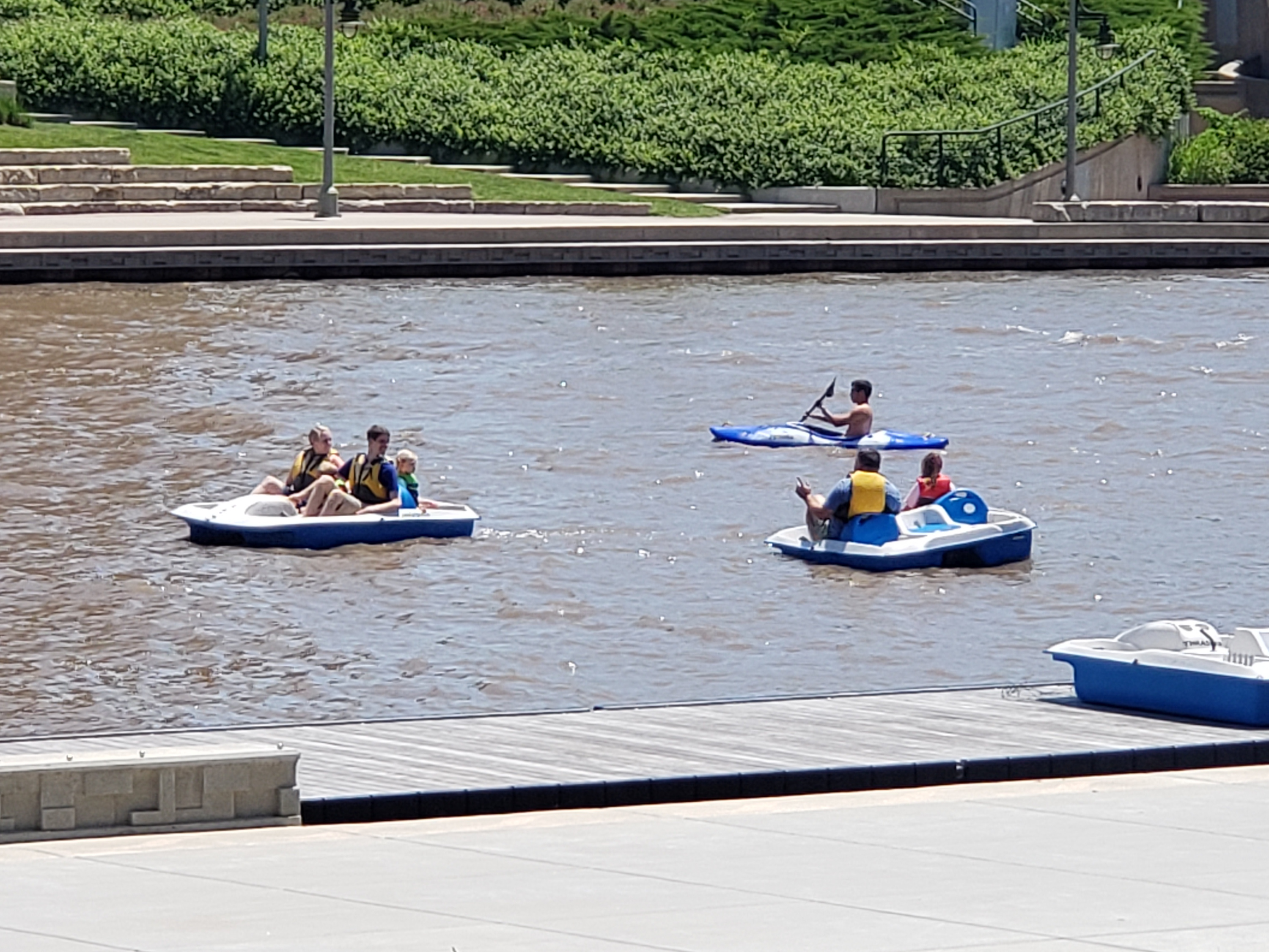 rowing bikes