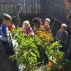 A group of children gather around the garden area at the Child Development Center.