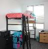 Shocker Hall Lofted Bed- High Height