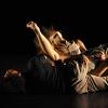 Wichita Contemporary Dance Theatre