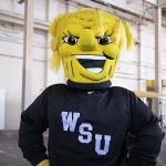 WuShock mascot