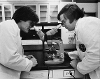 Physician Assistant - 1977
