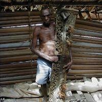 Asmat drum designs