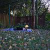 Photograph of a girl lying down on a blanket in a fenced yard.