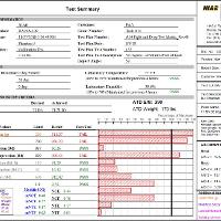 Test Summary