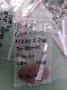  Bagged and labeled artifacts from Box Springs