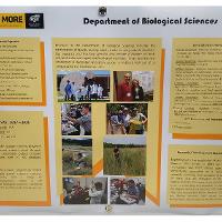 Poster presentations included information about research and creative activity, grant procurement, awards and publications. Representatives from each area answered  questions about their department.