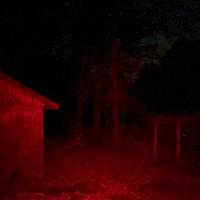 A dark photograph with a deep red tint to the entire frame. The image is of a shed, located on the left side of the frame, in the middle of the woods. Very little detail is visible outside of the where the red light is shining.