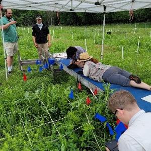 Students searching flora