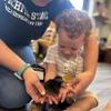 Child holding a chick