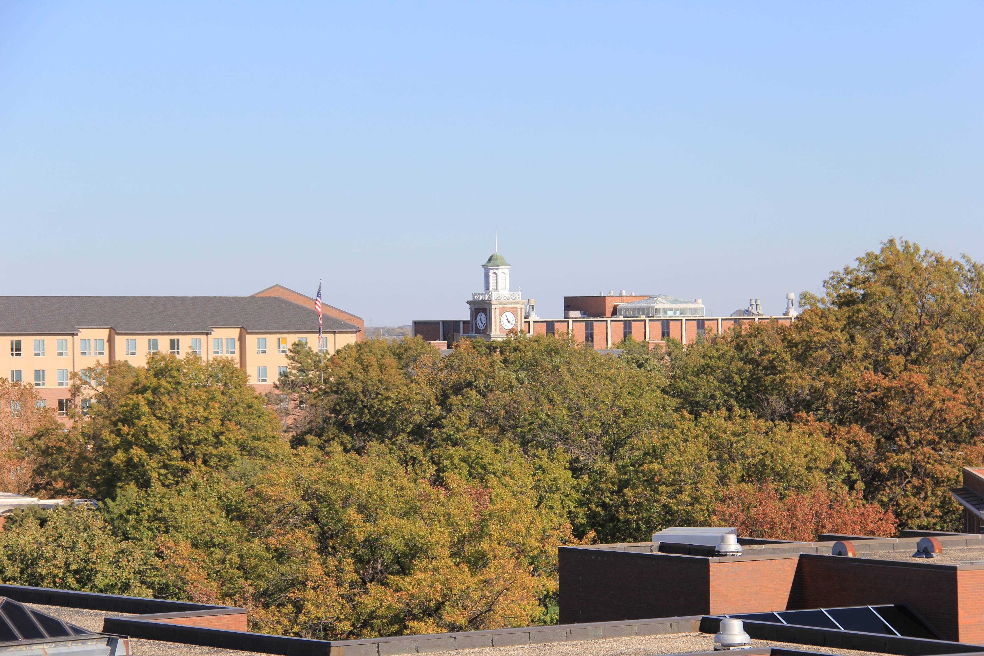 skyline view of campus with trees, blue sky and buildings