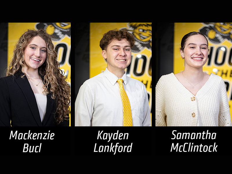 Gore Scholarship Winners art