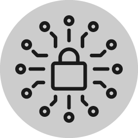 Cyber Security Icon