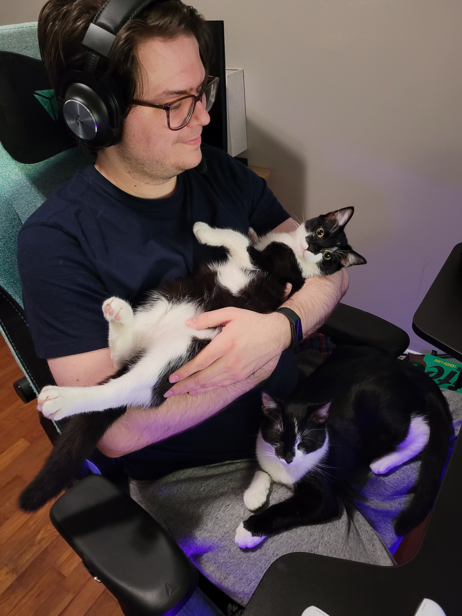 Photo of Nathaniel Wheatley holding two tuxedo cats.